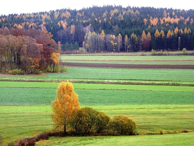 Free Landscape Autumn Impression photo and picture
