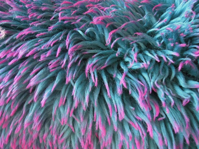 Free Crazy Fur photo and picture