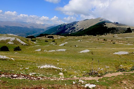 Free Landscape Green photo and picture