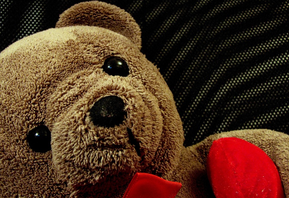 Teddy Bear Child Toy - Free photo on Pixabay - Pixabay