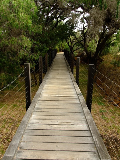 Free Path Wooden photo and picture