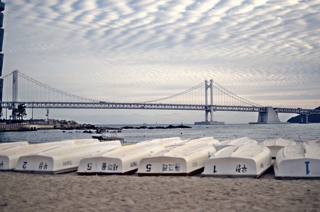Free Busan Gwangan Bridge photo and picture