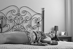 composition, women, lying down