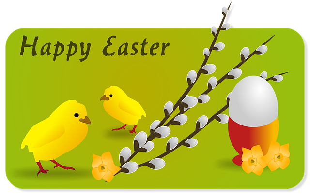 Ostern, Urlaub, Hähnchen, Ei, Feder