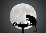 cat, mouse, silhouette