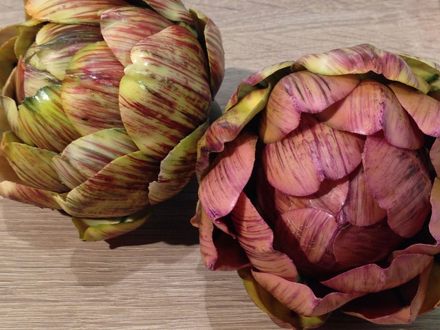 Free Artichoke Plastic photo and picture