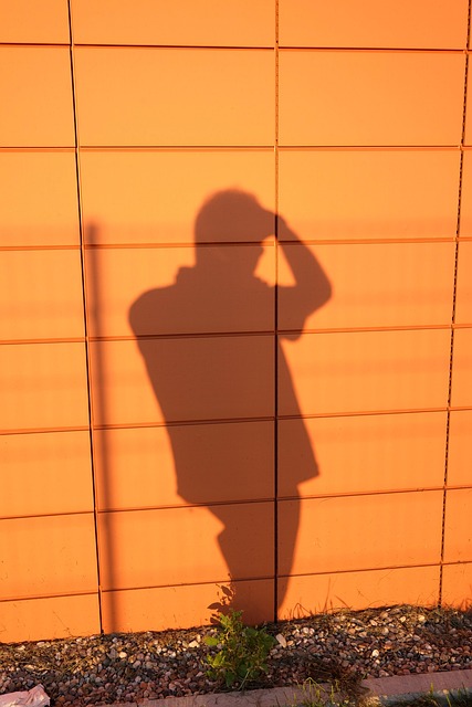 Free Silhouette Sunset photo and picture