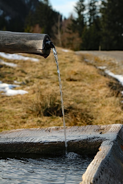 Brunnen, Wasse, Klar, Bergwasser, Trog