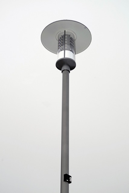 Free Lantern Street Lamp photo and picture