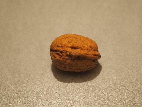Noten, Brown, Vruchten, Noot, Fruit Boom