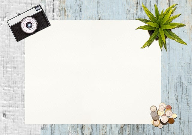 Free camera plant desk illustration