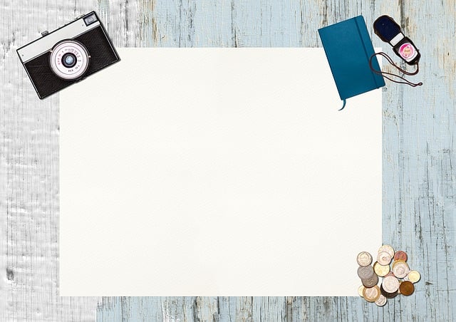 Free camera plant desk illustration