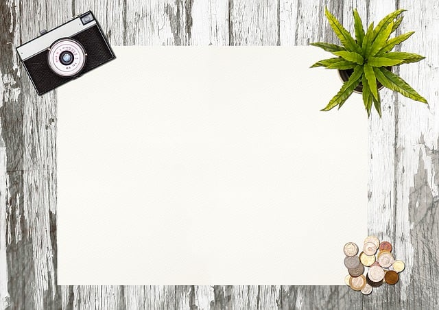 Free camera plant nature illustration
