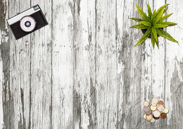 Free camera plant desk illustration