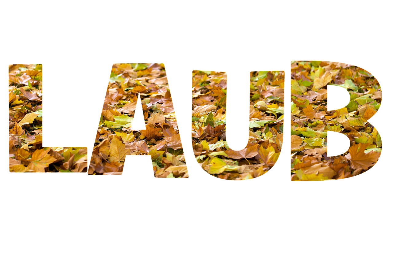 Laub Schriftzug Schrift Textur - Kostenloses Bild auf Pixabay - Pixabay
