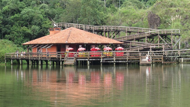Tangopark, Lake, Curitiba, Holzleiter