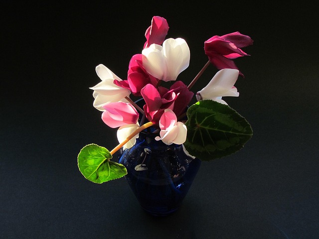 Free Flowers Bouquet photo and picture