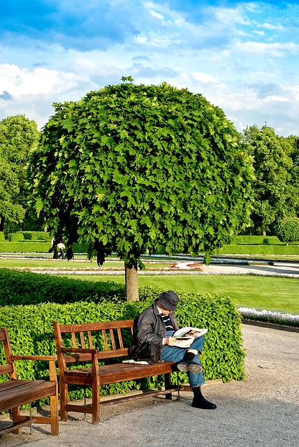 Free Munich Courtyard Garden photo and picture