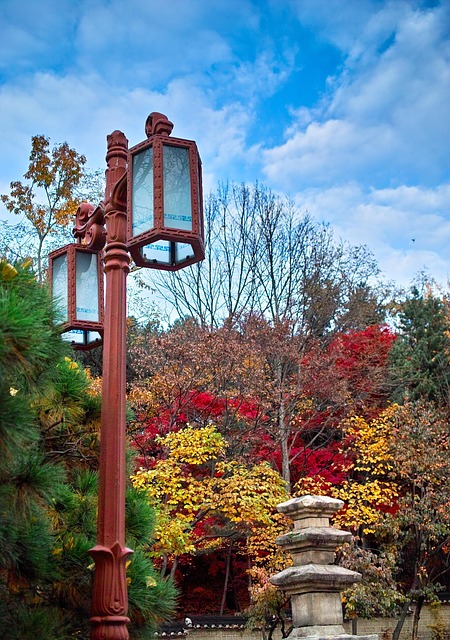 Free Autumn Autumn Leaves photo and picture