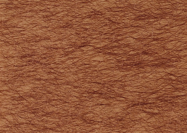 Free Texture Wires photo and picture