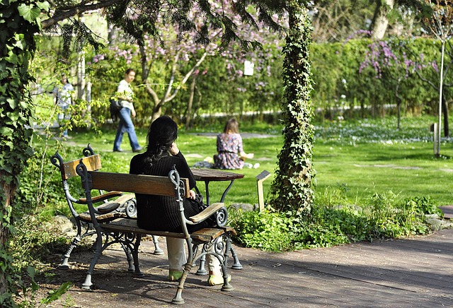 Free Park Pad photo and picture