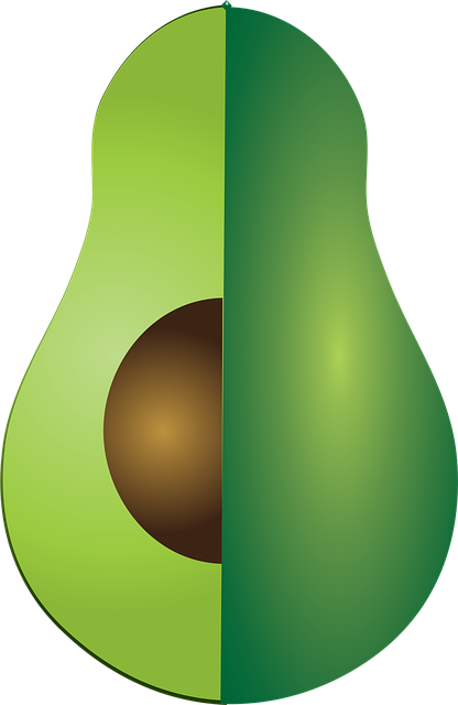 Free avocado half cut vector