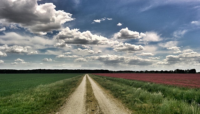 Free Road Countryside photo and picture
