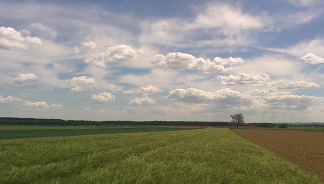 Free Country Rural photo and picture