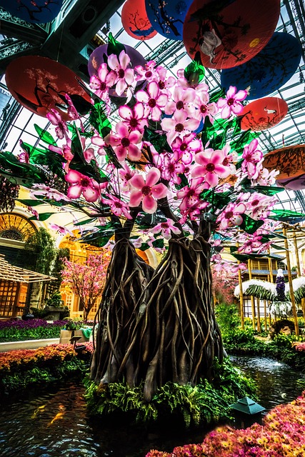 Free Las Vegas Bellagio photo and picture
