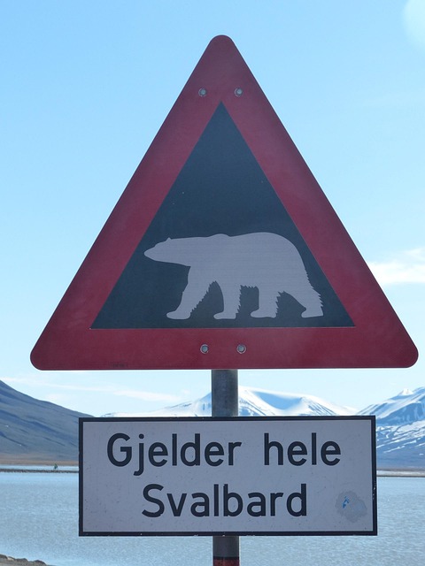 Isbjørne, Advarsel, Spitsbergen