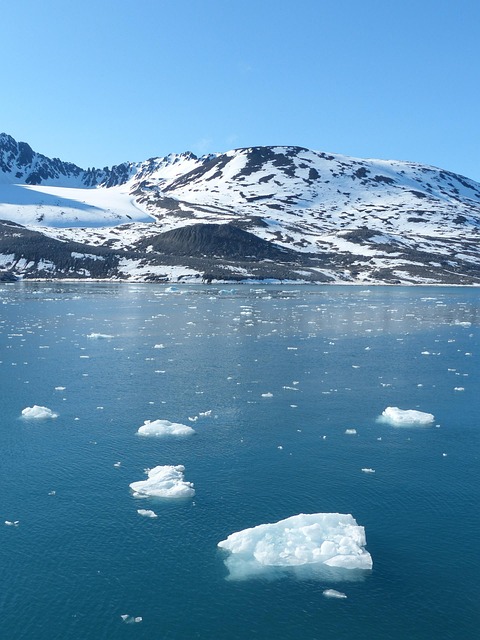 Spitsbergen, Isflage, Is, Kold, Vand