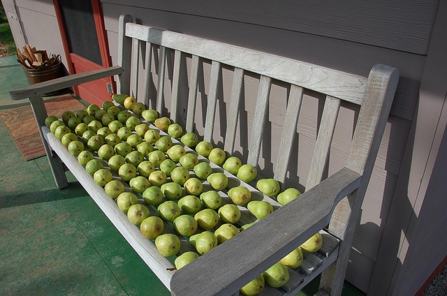 Free Pears Pears On Bench photo and picture