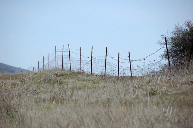 Free Fence Wire Fence photo and picture