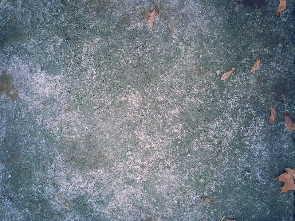 stone background ground free photo on pixabay