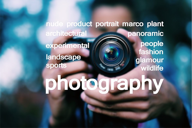 Free photography taking photos photographer illustration