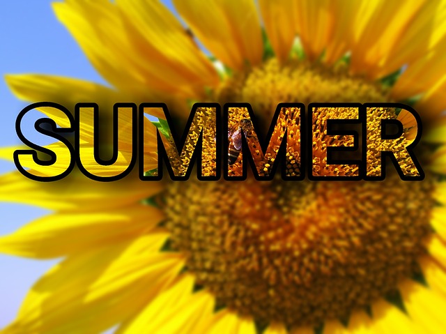 Free summer sunflower flower illustration