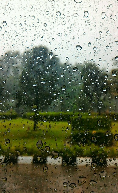 Free Rain Glass photo and picture