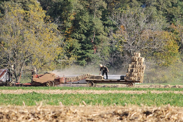 Amish, Pennsylvania, Boerderij