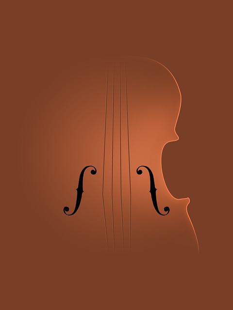 Violine, Musik, Instrument, Musiker