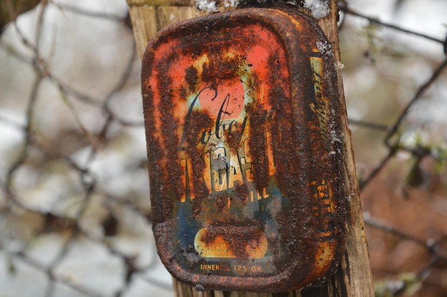 Free Rusty Can photo and picture