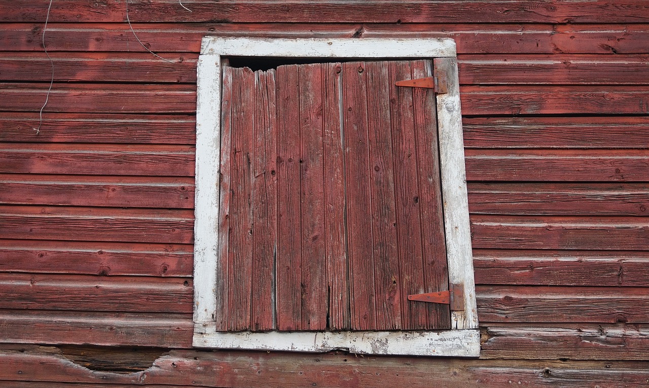 Shed - free online jigsaw puzzle photo