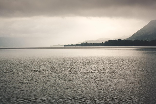 Agua, Lago, Lakeside, Waterfront