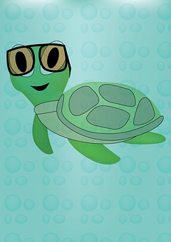 超过0 张关于 Green Turtle 和 龟 的免费图片