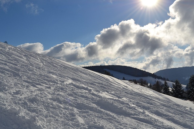 Free Snow Sun photo and picture