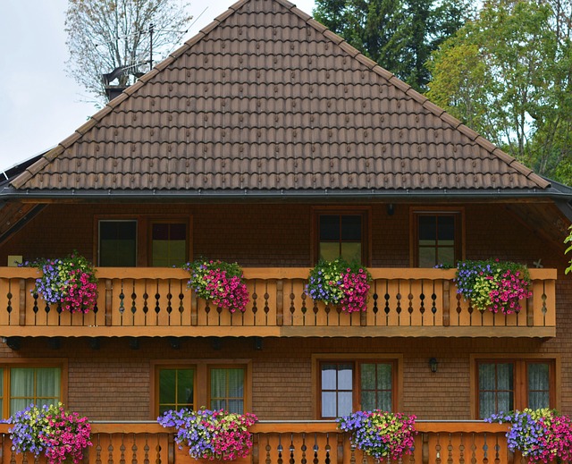 Free Farmhouse Black Forest House photo and picture