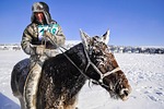 horse race, finish line, winter