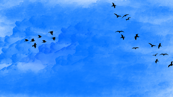 Free Heaven Bird photo and picture