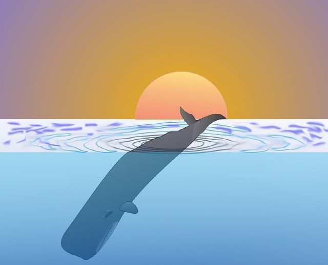 Free sperm whale whale whale protection illustration