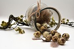 quail eggs, egg, easter decoration