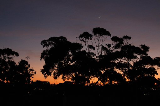 Free Morning Sunrise photo and picture